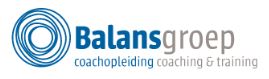 Balansgroep organisatiecoach